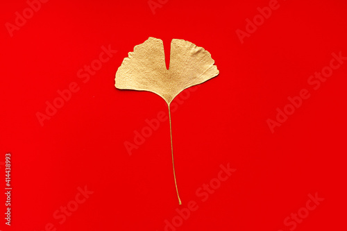 heart shaped leaf gingko tree yellow on paper background photo