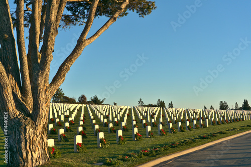 Sunset view of Fort Rosecrans National Cemetery with a tree in the foreground; front facing tombstones; Point Loma, San Diego, California photo