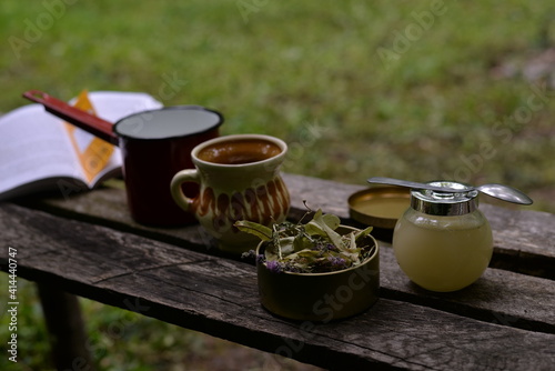 Natural herbal tea served with honey outside in nature along with a book. living a healthy life close to nature