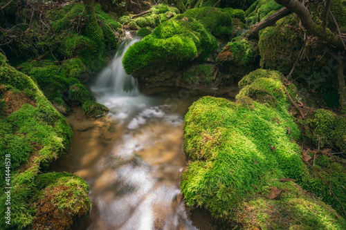 forest stream with waterfalls