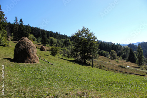 landscape in the mountains