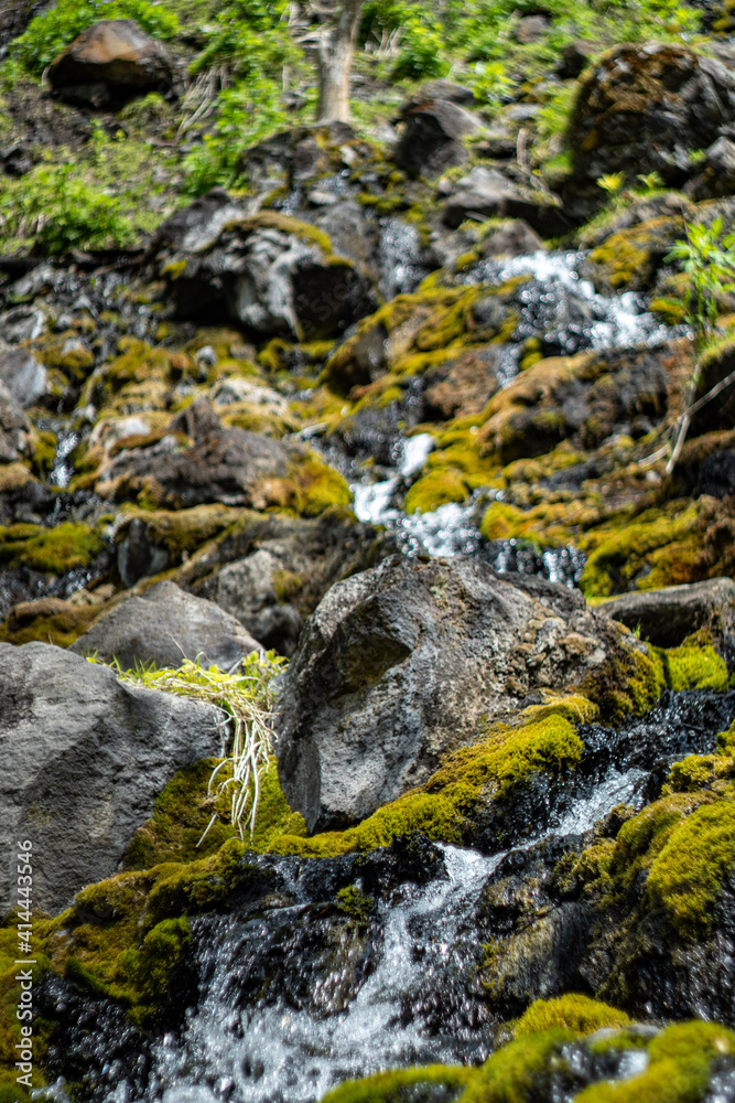 waterfall in the forest waterfall in the forest