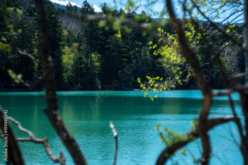 lake in the park