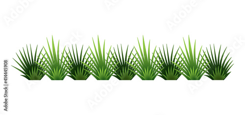 Green grass border. Fresh green brush grass. Isolated on transparent background. Illustration for use as design element