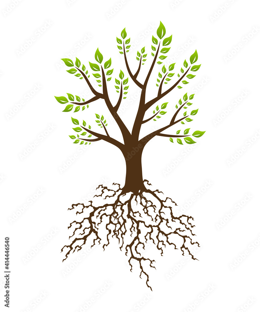 Abstract green tree with strong plant roots silhouette. Tree with lush root. Corporate branding identity design template Abstract green tree with strong plant roots silhouette. Tree with lush root. Corporate branding identity design template