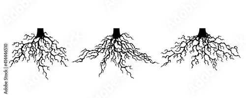 Collection strong plant roots silhouette. Abstract felled tree with root. Tree with lush root