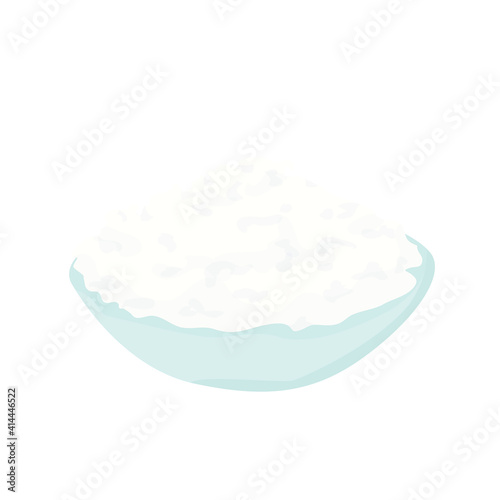 a plate of cottage cheese. curd mass vector flat. dairy products concept. isolated