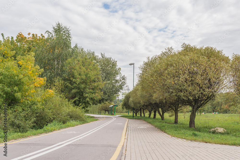 Obraz premium Bike path in the park. Afalted road.