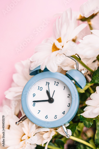 A soft blue alarm clock in a bouquet of daisies. Floral concept for holidays