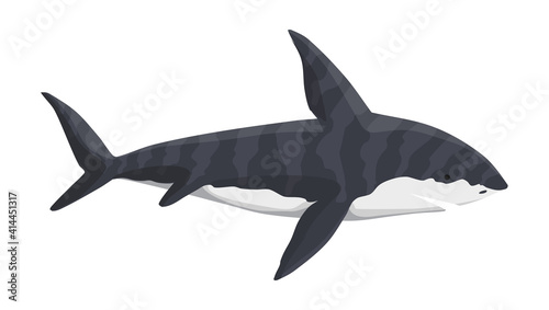 whale shark character. Underwater sea animal. Big dangerous marine predator. Illustration of Marine wildlife