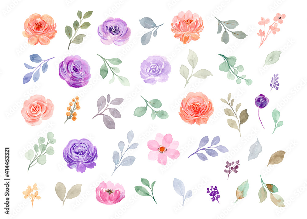 Collection of watercolor floral elements. hand drawn roses, pink and purple flowers and green leaves