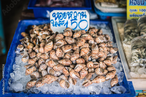 Sweet shellfish for sale in the seafood market, Ban Samaesarn, Sattahip District, Thailand photo