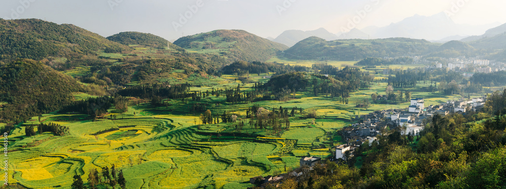 Valley with canola fields in Luoping, Yunnan, China