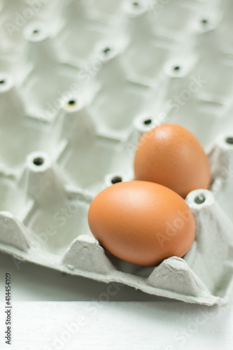 Close-up view of a raw brown egg in an egg box on a white background. © JaRiRiyawat