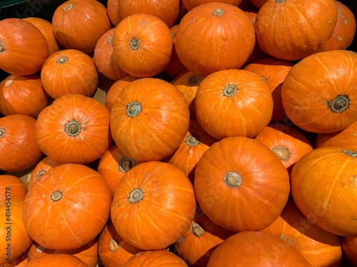 Fresh pumpkin on the supermarket shelf. Organic food. Healthy food