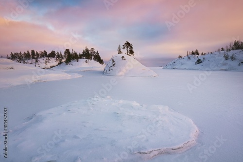 Tender snow coloured purple by sunset sun covers the smooth ice on Ladoga lake. Russia, Republic of Karelia, winter