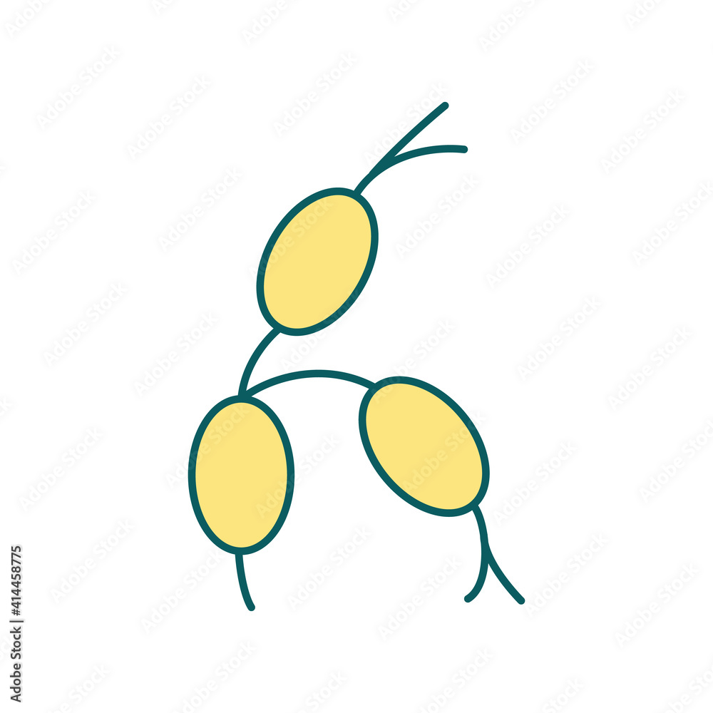 Enlarged Lymph Nodes In Stomach Kids