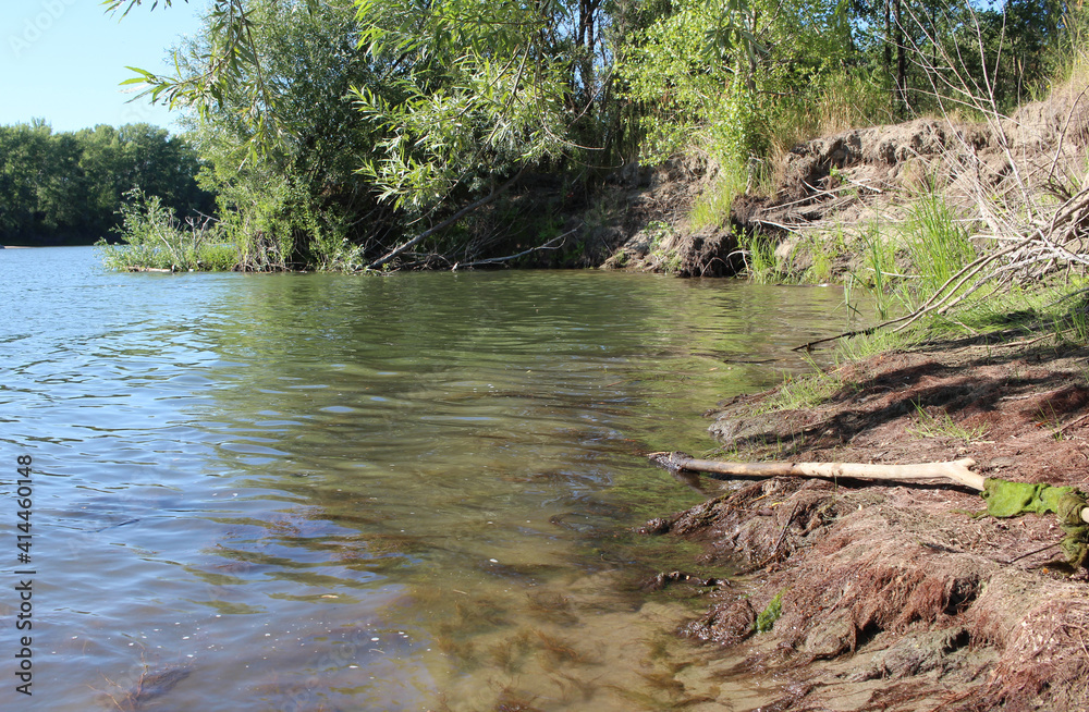 river bank with trees for summer fishing and recreation in the bay river bank with trees for summer fishing and recreation in the bay