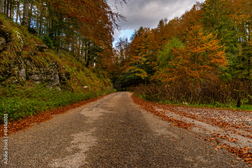 Cansiglio Autunno Foliage