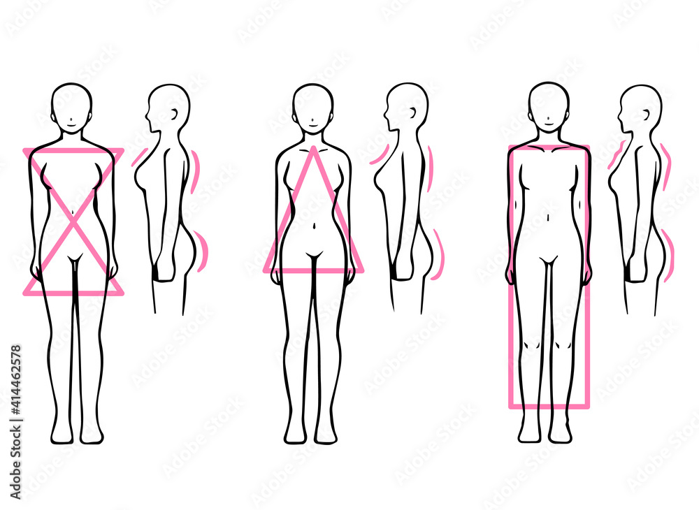 骨格診断 3タイプ 体型イラスト ストレート ウェーブ ナチュラル 正面 横 Stock ベクター Adobe Stock