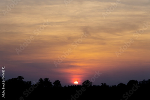 silhouette of red and yellow sky behind and trees in the forefront. sunset in the mountains © Sutthiphong