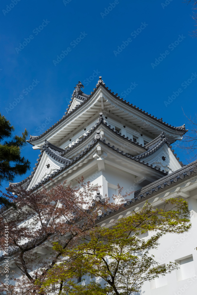 【岐阜県】大垣城