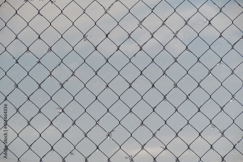 Fototapeta premium fence