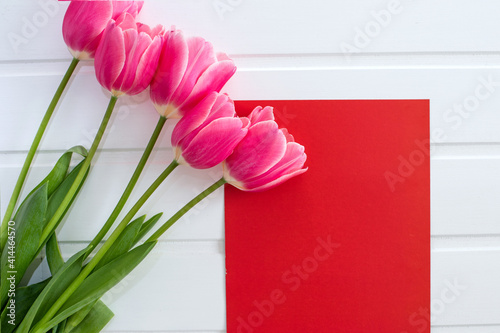 Purple-pink tulips and a red sheet of paper on a white background, spring and Easter card, top view, space for text
