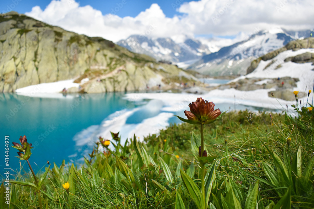 Fototapeta premium alpine lake in the mountains