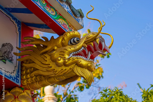 Chinese dragon head