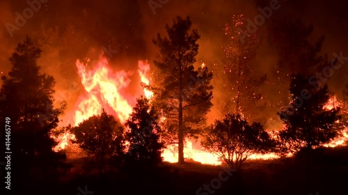 A big fire in a forest of Rhodes burned a lot of pines and created a dead landscape after even the earth is full of ashes
