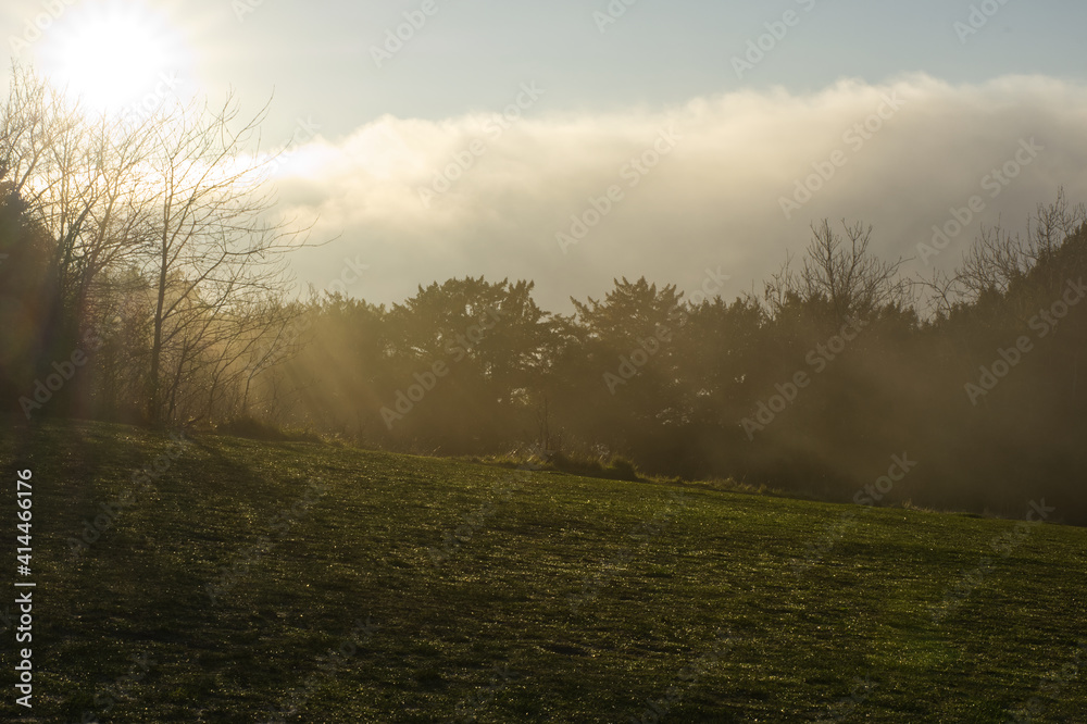 Misty countryside at Box Hill, Dorking, Surrey, England