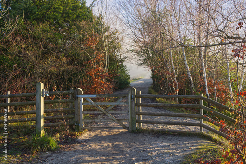 Gate at Box Hill, Surrey, England photo