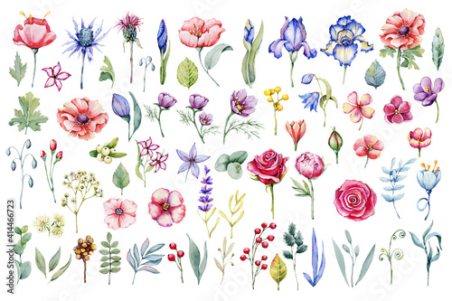 Big set with wildflowers, meadow herbs, botanical floral. Hand drawn watercolor illustration isolated on white background. Design for weddings, postcards, invitations, birthday.