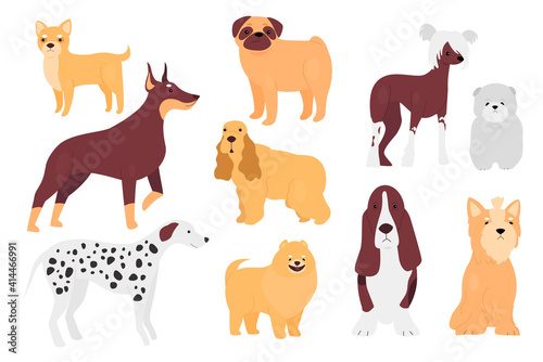 Dog pet vector illustration set. Cartoon doggy characters of different breeds sitting and standing in different poses collection, small adorable puppy, big domestic friend pet animal isolated on white