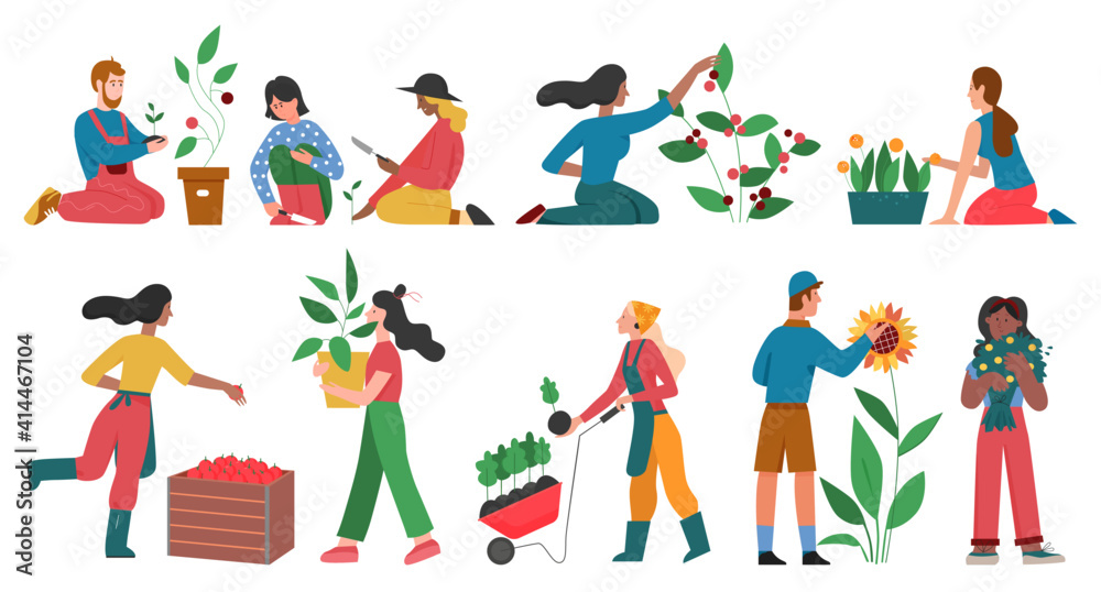 Fototapeta premium Gardeners people cultivate horticulture plants vector illustration set. Cartoon man woman characters gardening harvesting planting, growing flowers vegetables or fruits in garden isolated on white