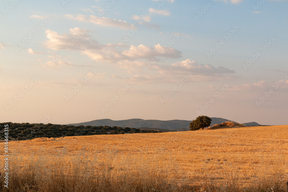 Obraz premium Beautiful couples, fields and landscapes of the Cordoba