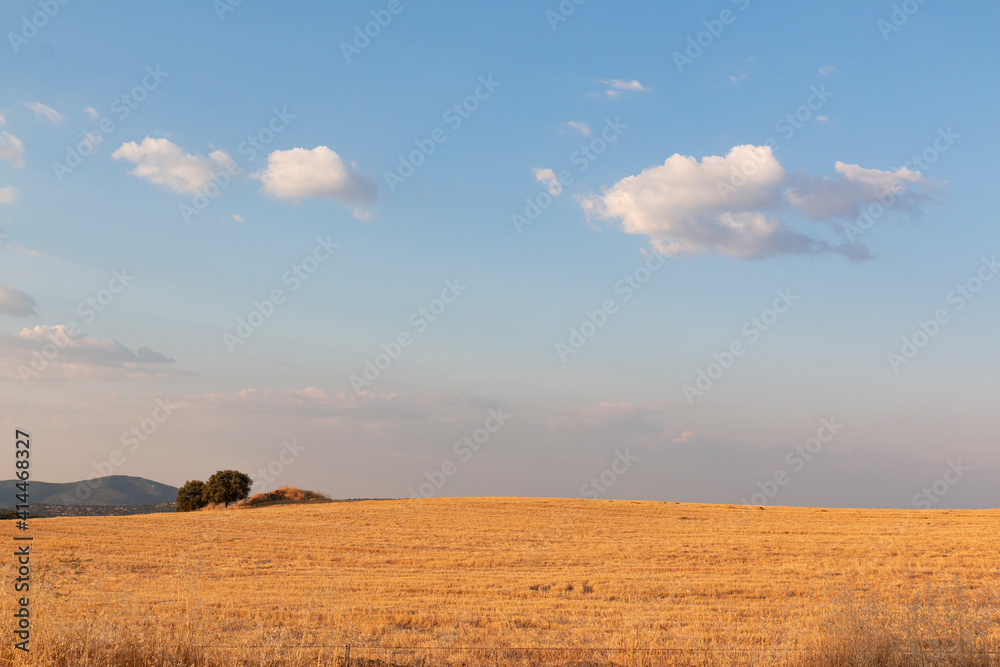 Obraz premium Beautiful couples, fields and landscapes of the Cordoba