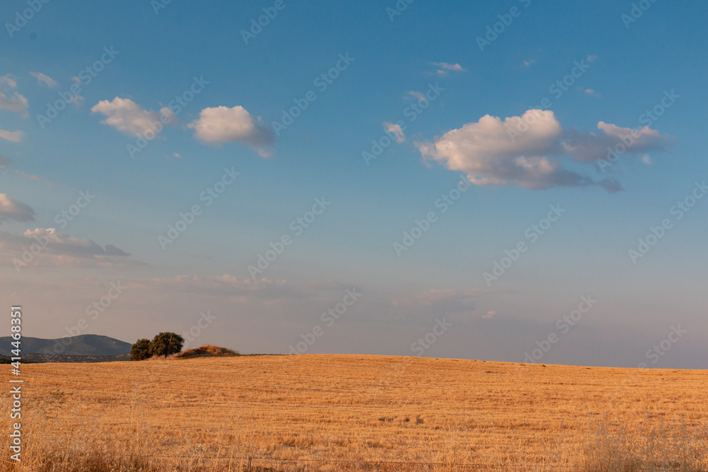 Obraz premium Beautiful couples, fields and landscapes of the Cordoba