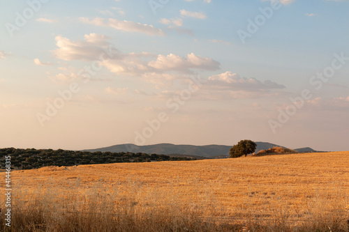 Beautiful couples, fields and landscapes of the Cordoba