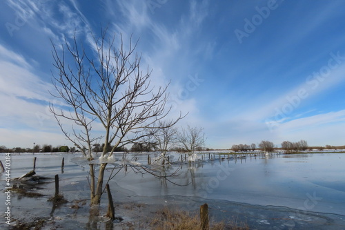 Winter am Niederrhein