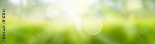 Blurred bright green spring background. Abstract landscape with shining bokeh. Space for design and text.