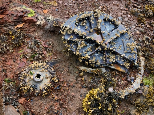 barnacle covered industrial equipment