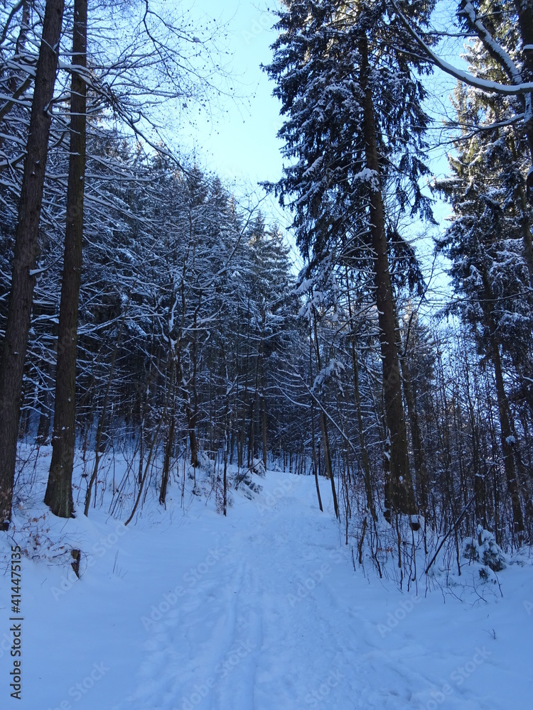 Fototapeta premium Ilmenau-Manebach
