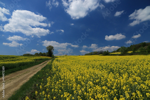 Landscape of Polish Jura near Bedkowice village, Poland