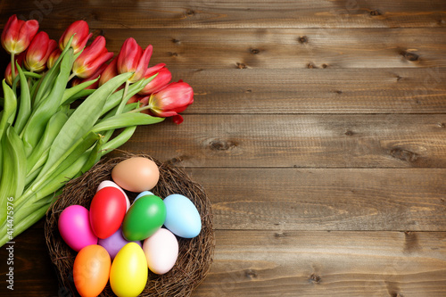 Multi colored easter eggs in birds nest and fresh red tulip flowers on dark wooden planks table with copy space. Easter holiday banner, card, header, poster, voucher, invitation template
