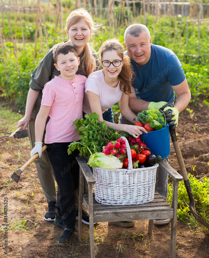 Fototapeta premium Portrait of happy family with two kids posing in garden with fresh harvest of vegetables and greens