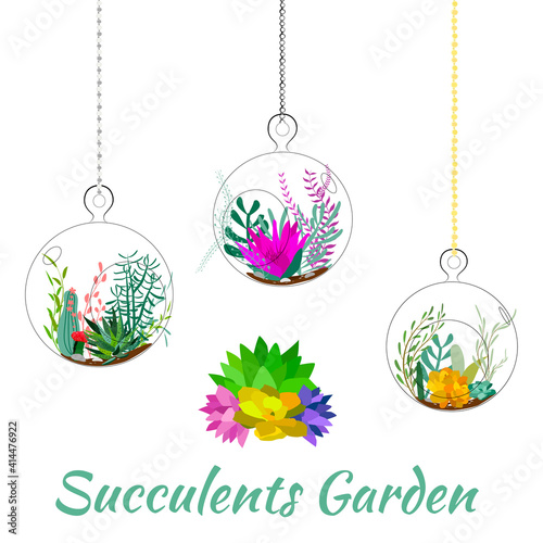 Set of geometric florariums.  Geometric terrariums set with plants, succulents and cactus. Scandinavian style home decor. Glass crystal florariums isolated on white background.