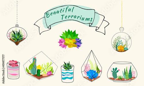 Set of geometric florariums. Geometric terrariums set with plants, succulents and cactus. Scandinavian style home decor. Glass crystal florariums isolated on white background.