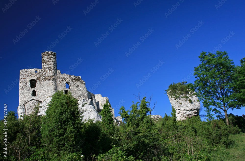 Ruins of medieval Mirow castle in Polish Jura, Poland